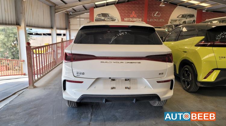 بي واي دي E2 2023