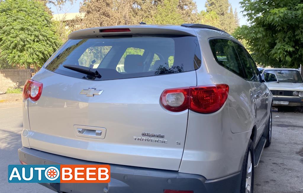 、 Assembly and Characterization of the Mitochondrial Genome of