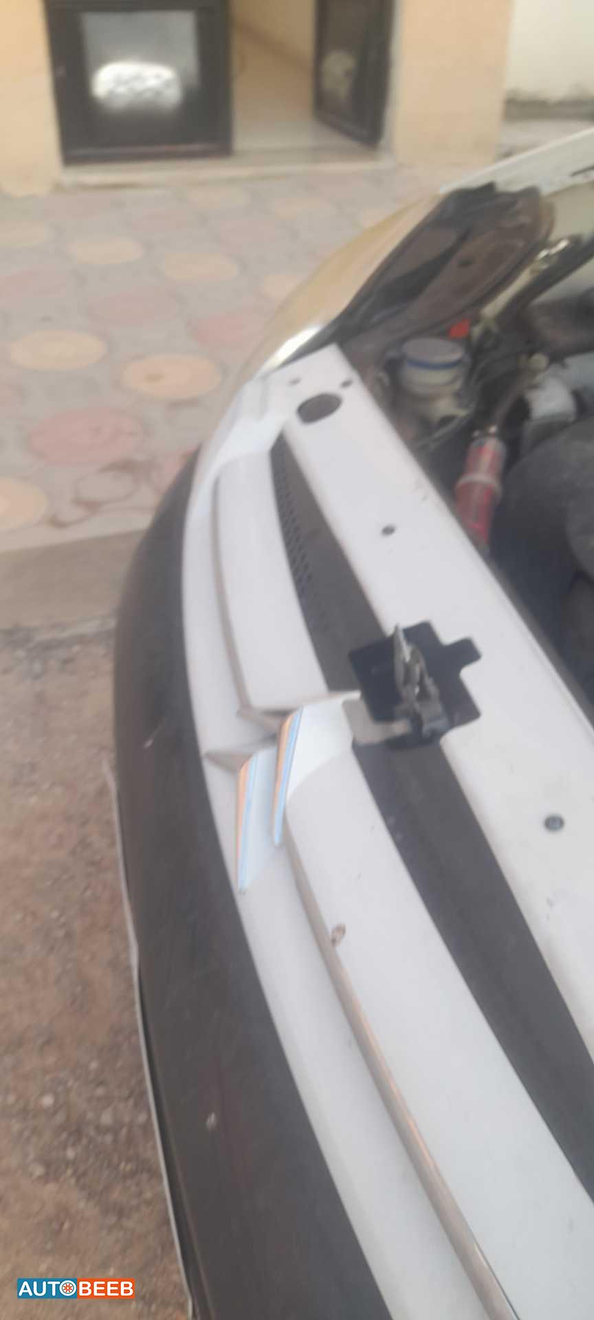 سيتروين بيرلينجو 2013