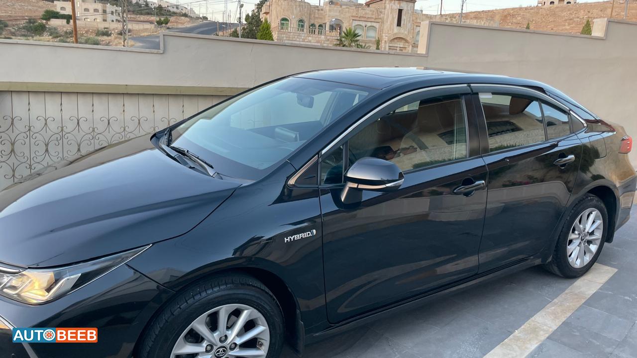 تويوتا كورولا 2019