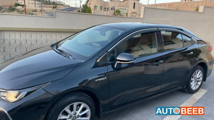 تويوتا كورولا 2019