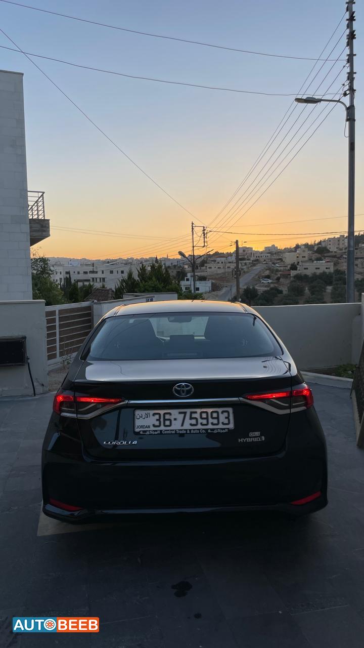 تويوتا كورولا 2019