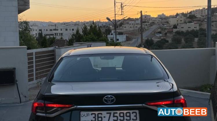 تويوتا كورولا 2019