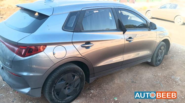 بي واي دي E2 2024