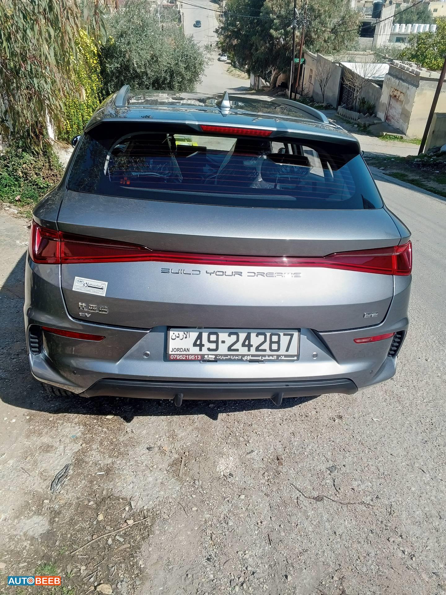 بي واي دي E2 2024