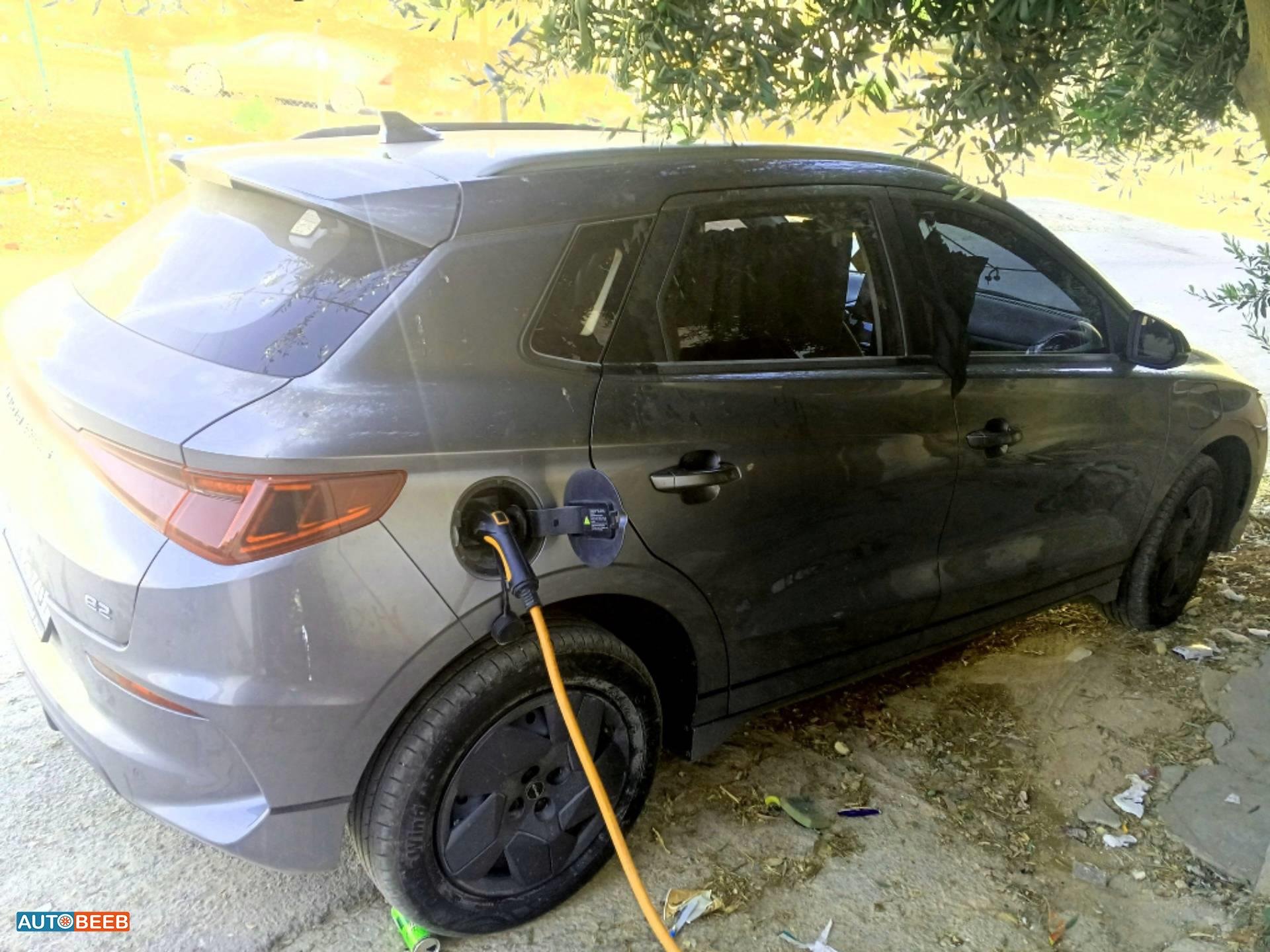 بي واي دي E2 2024