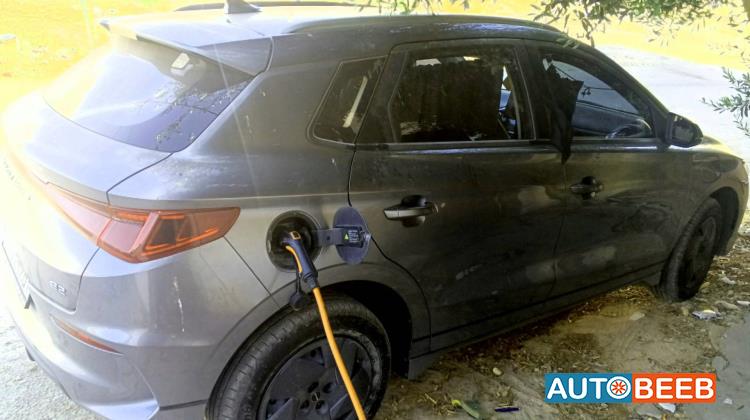 بي واي دي E2 2024