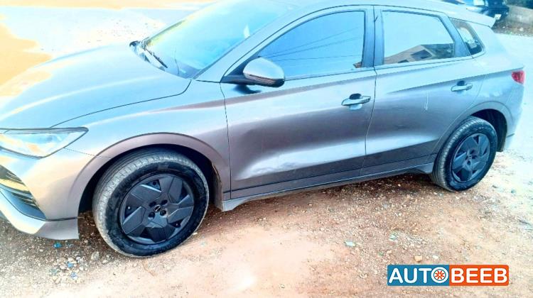 بي واي دي E2 2024