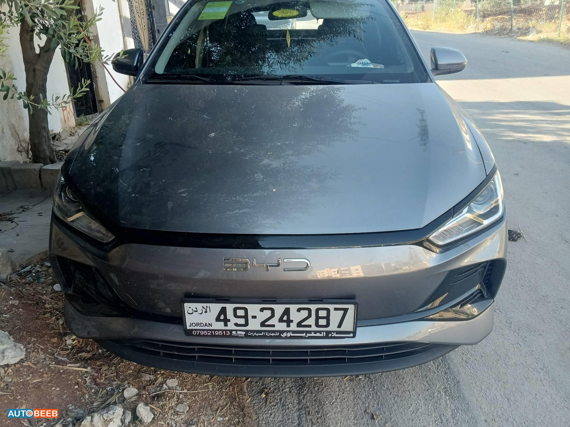 بي واي دي E2 2024