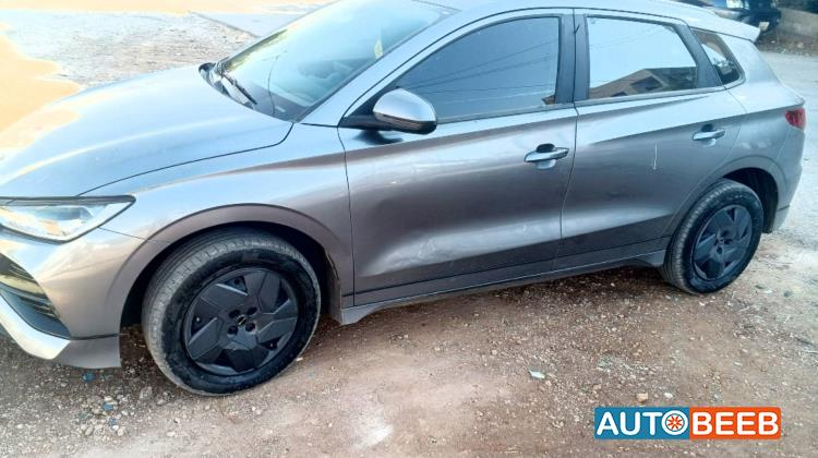 بي واي دي E2 2024