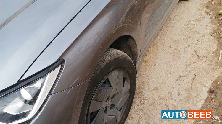 بي واي دي E2 2024