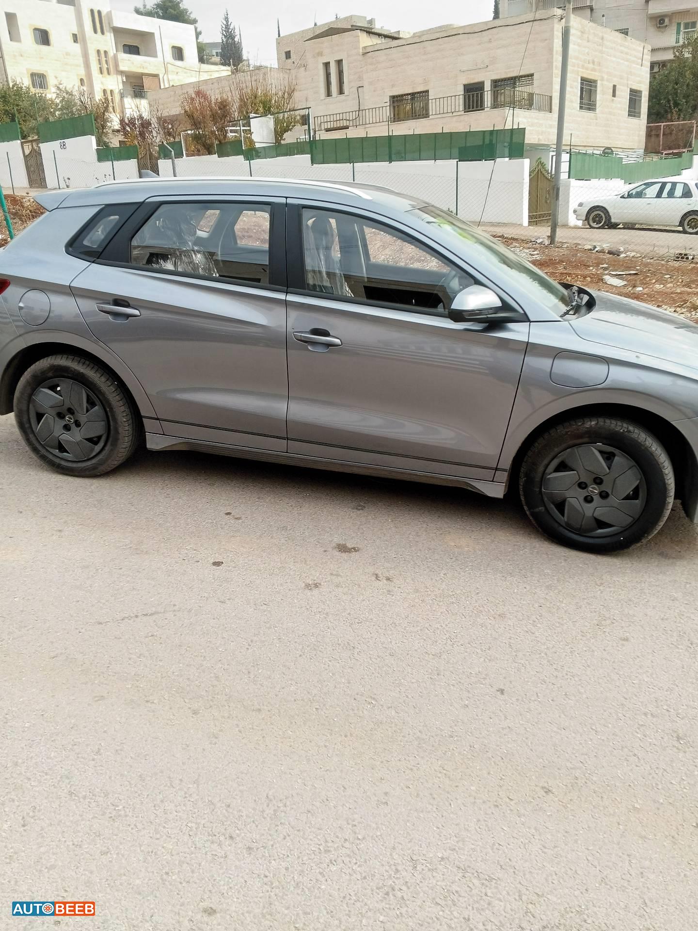 بي واي دي E2 2024