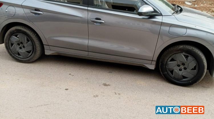 بي واي دي E2 2024