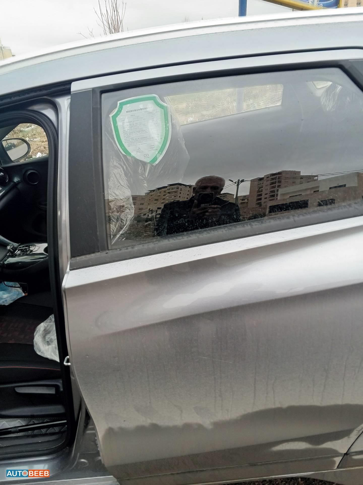 بي واي دي E2 2024