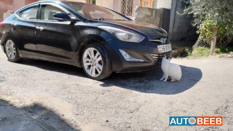 هيونداي النترا 2013