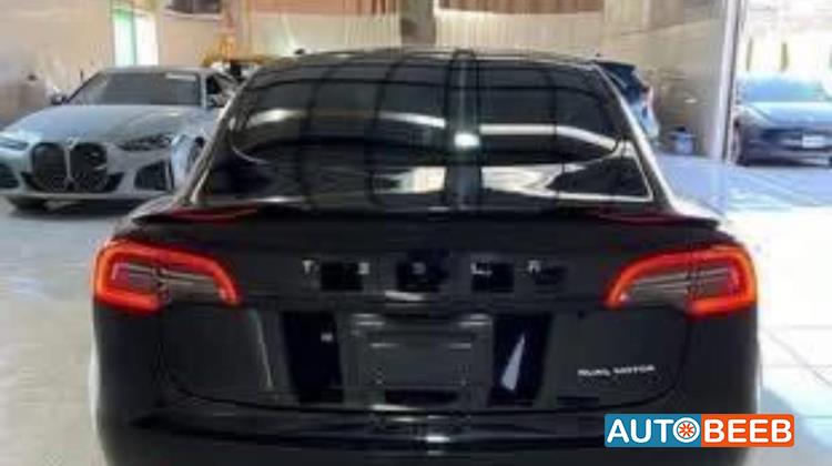 Tesla 3 2022