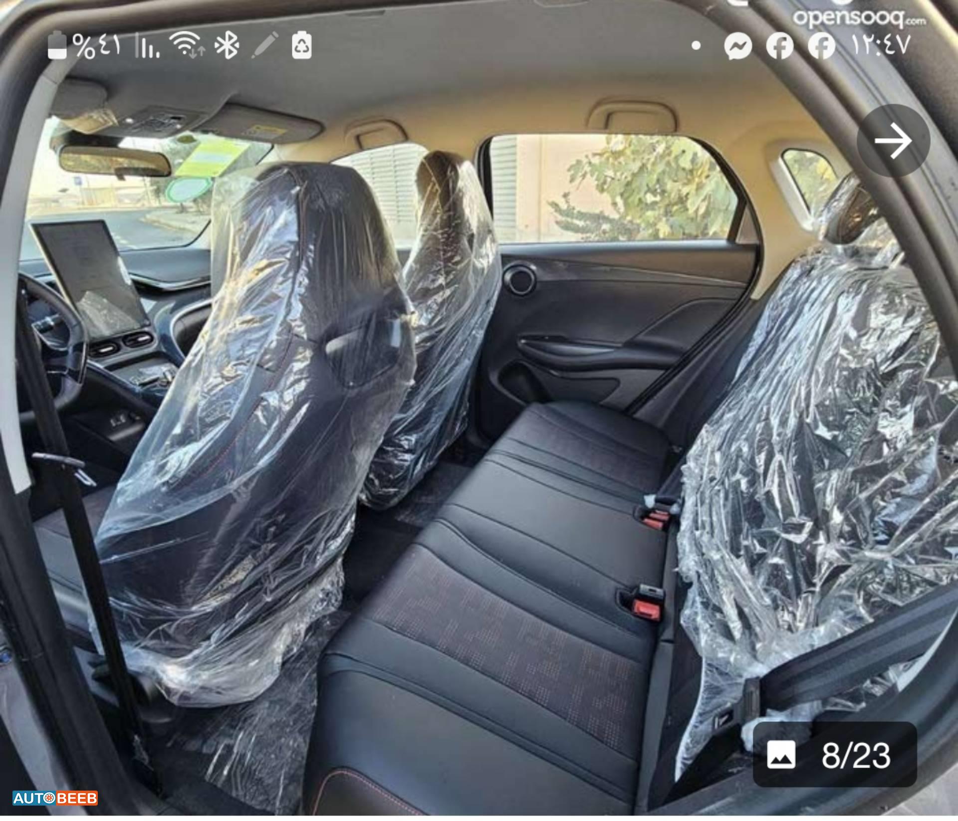 بي واي دي E2 2024