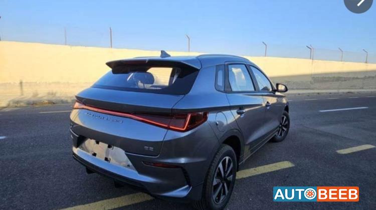 بي واي دي E2 2024