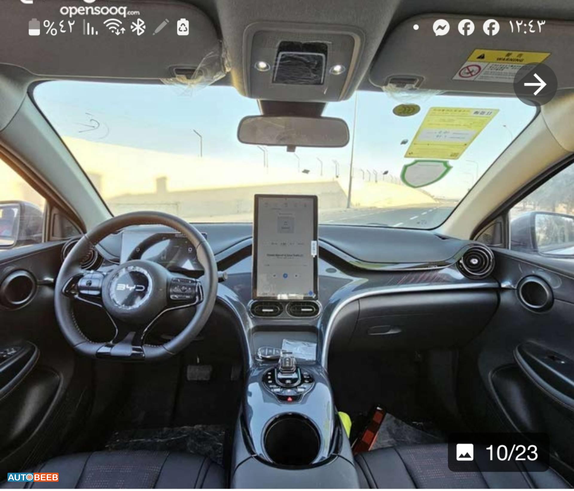 بي واي دي E2 2024