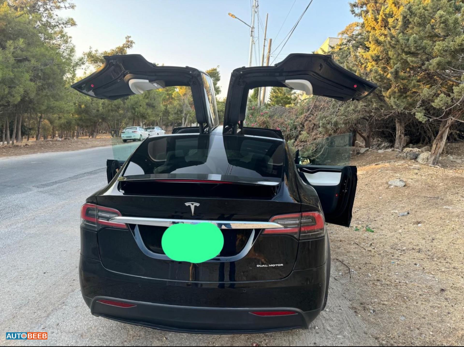 Tesla X 2020