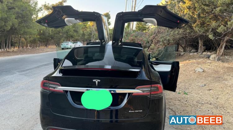Tesla X 2020