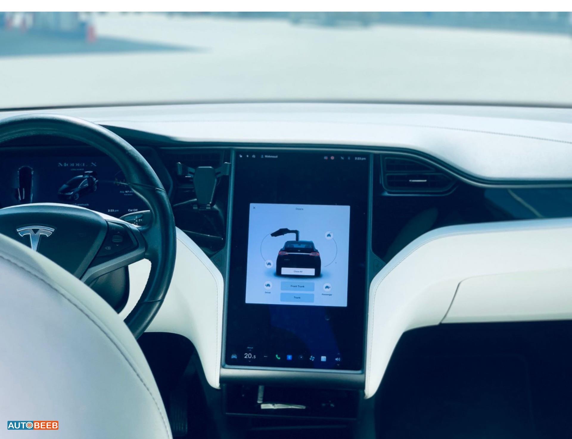 Tesla X 2020