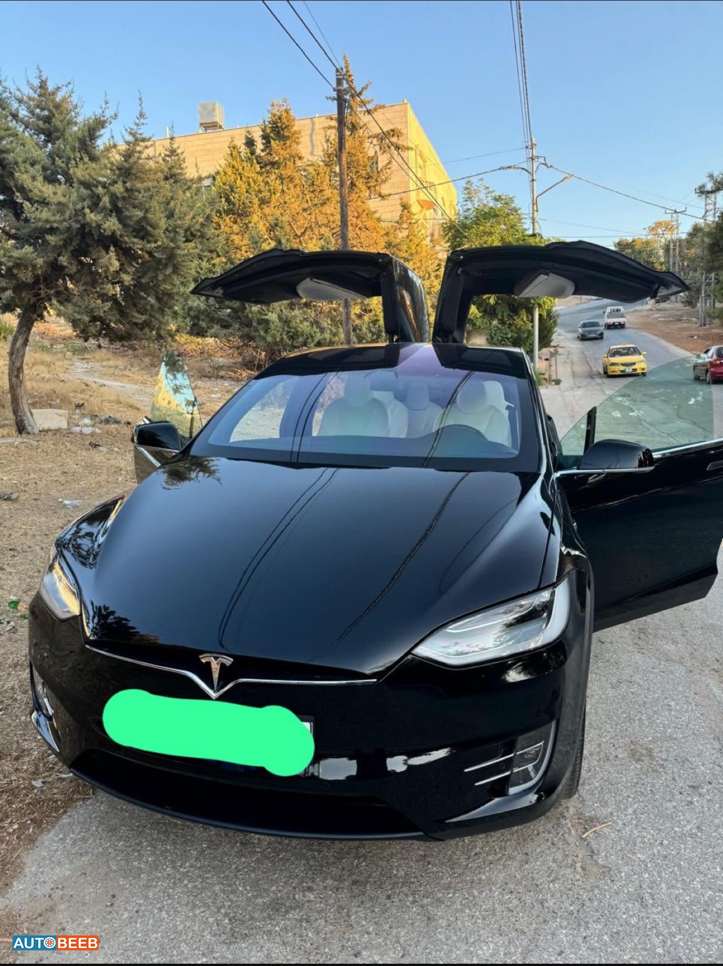 Tesla X 2020