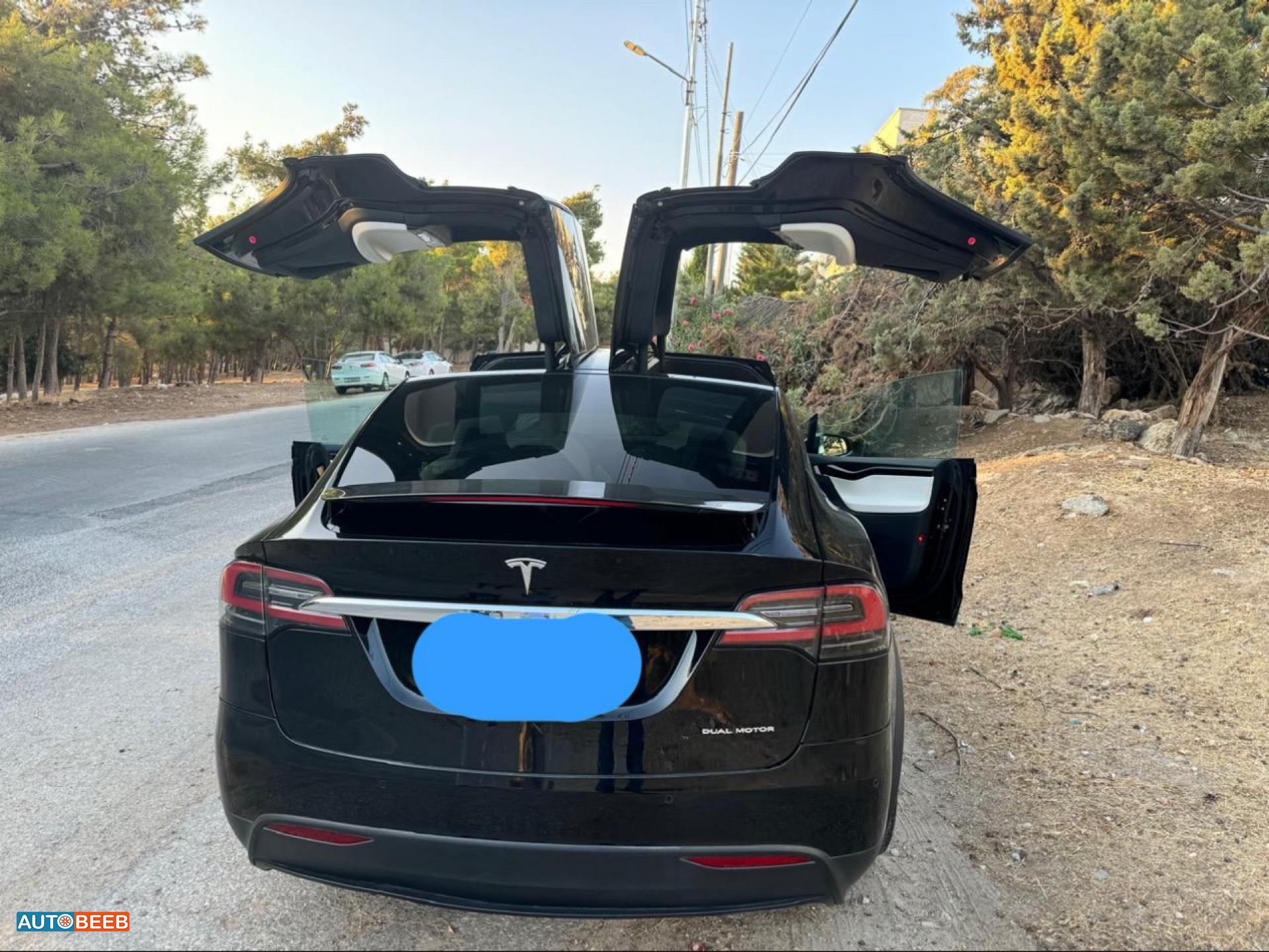 Tesla X 2020