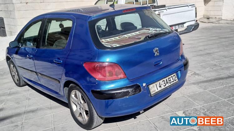Peugeot 307 2003