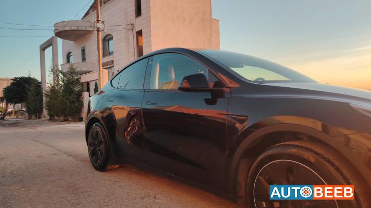 Tesla Y 2021