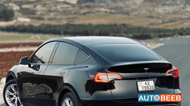 Tesla Y 2022