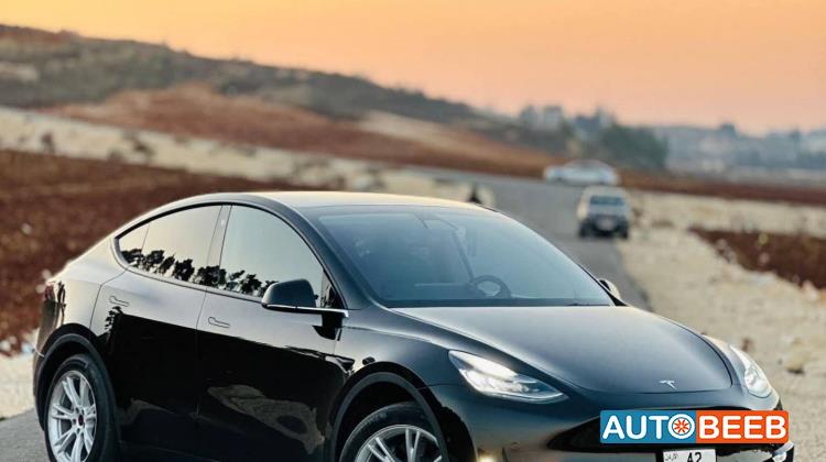 Tesla Y 2022