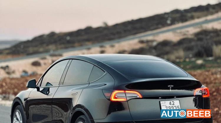 Tesla Y 2022