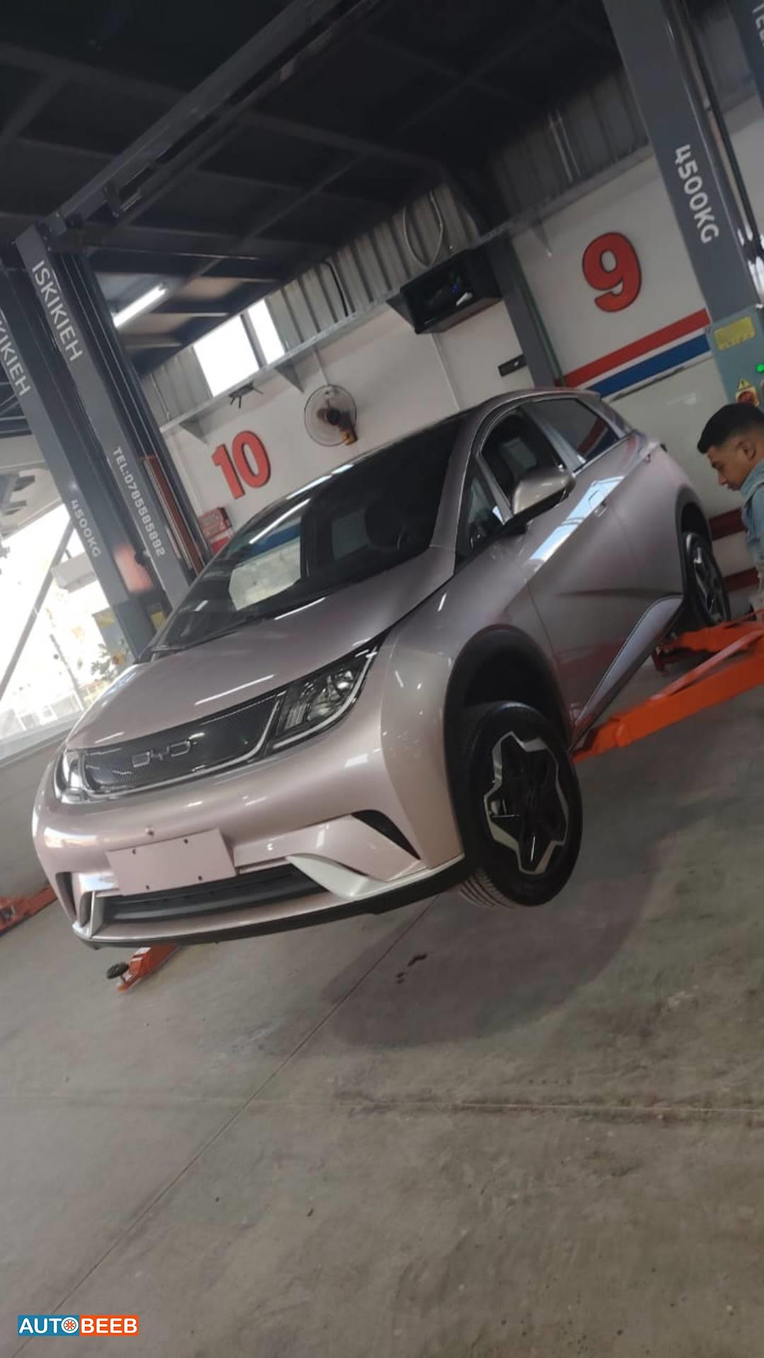 BYD Dolphin 2022