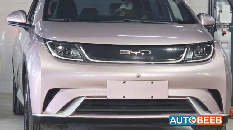 BYD Dolphin 2022