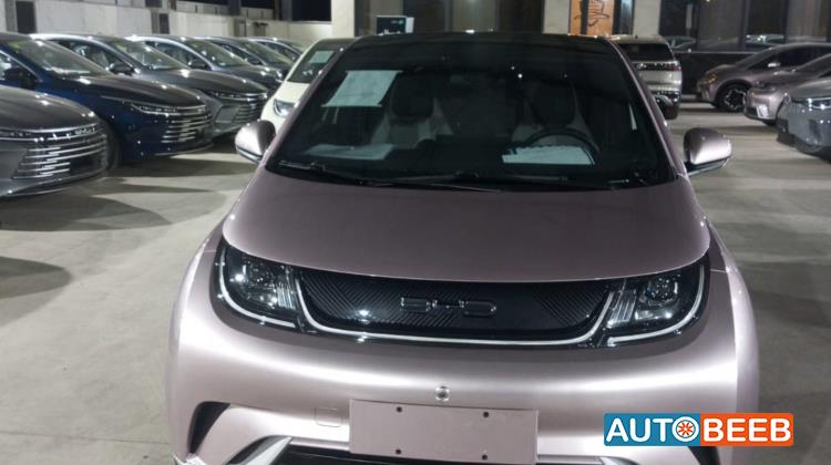 BYD Dolphin 2022