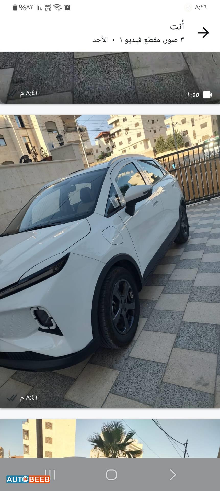 Geely Geometry E 2025