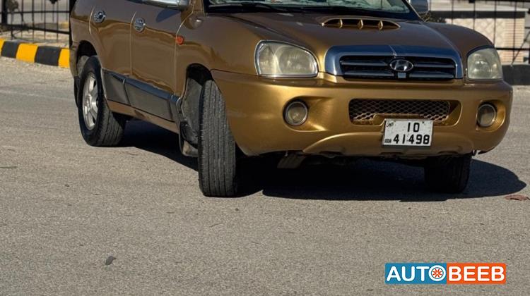 Hyundai Santa Fe 2004