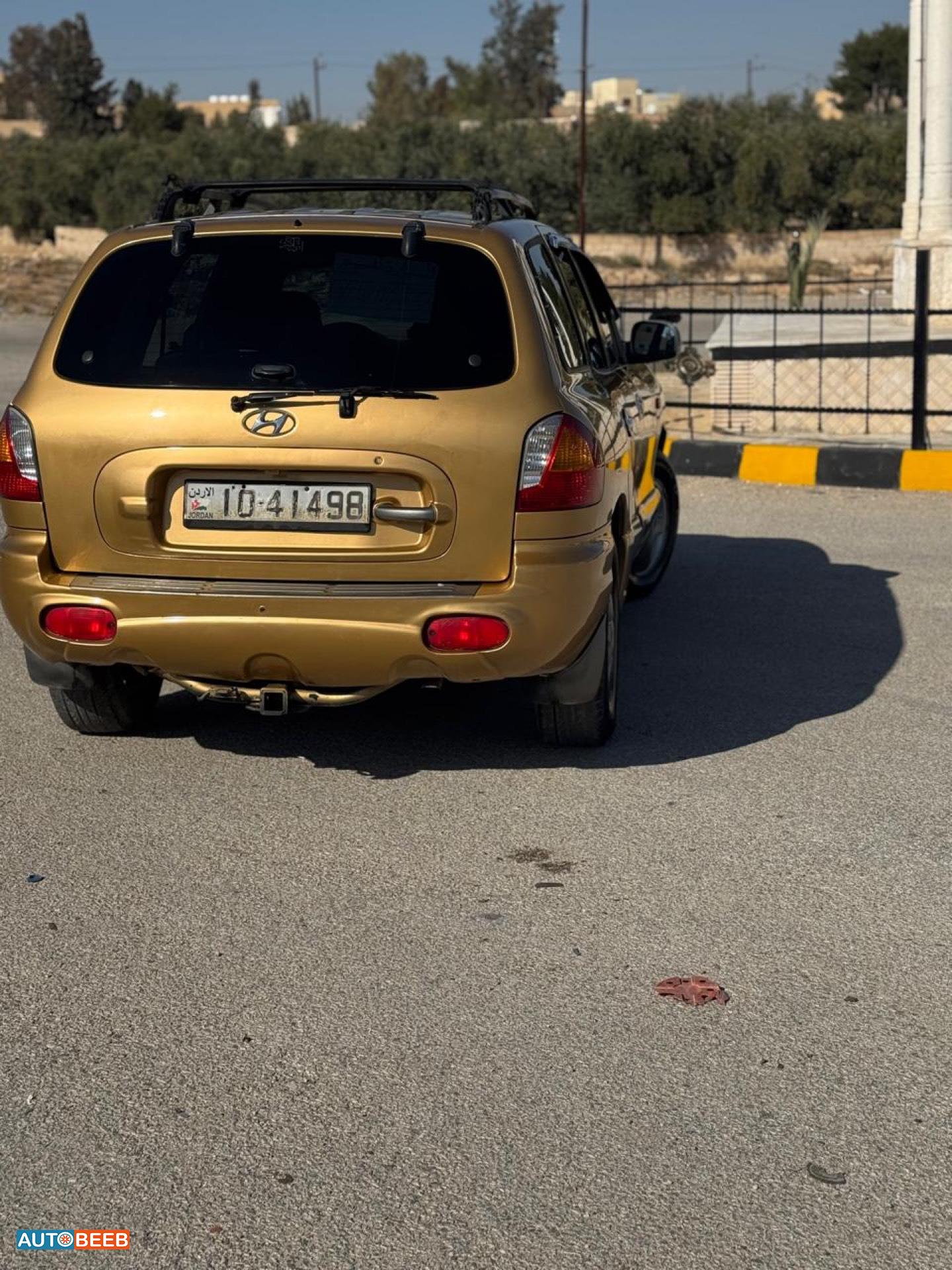 Hyundai Santa Fe 2004