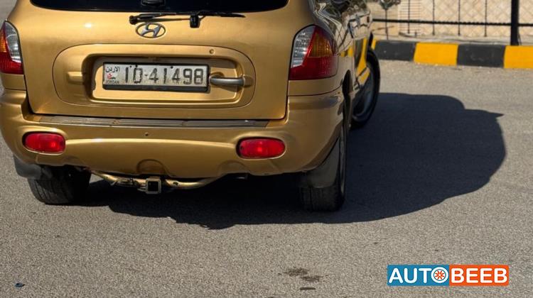 Hyundai Santa Fe 2004