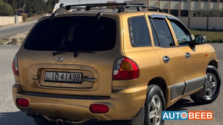 Hyundai Santa Fe 2004