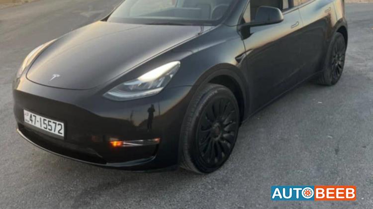 Tesla Y 2021