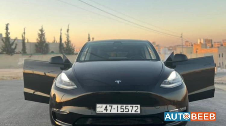 Tesla Y 2021