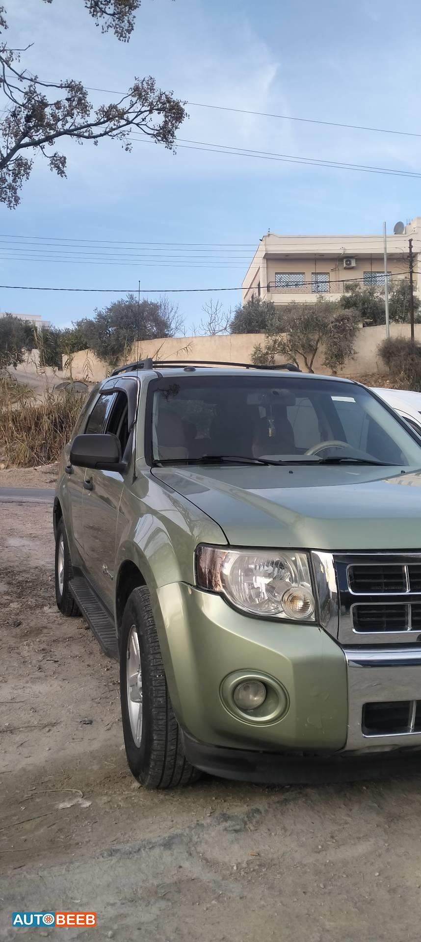 فورد اسكايب 2009