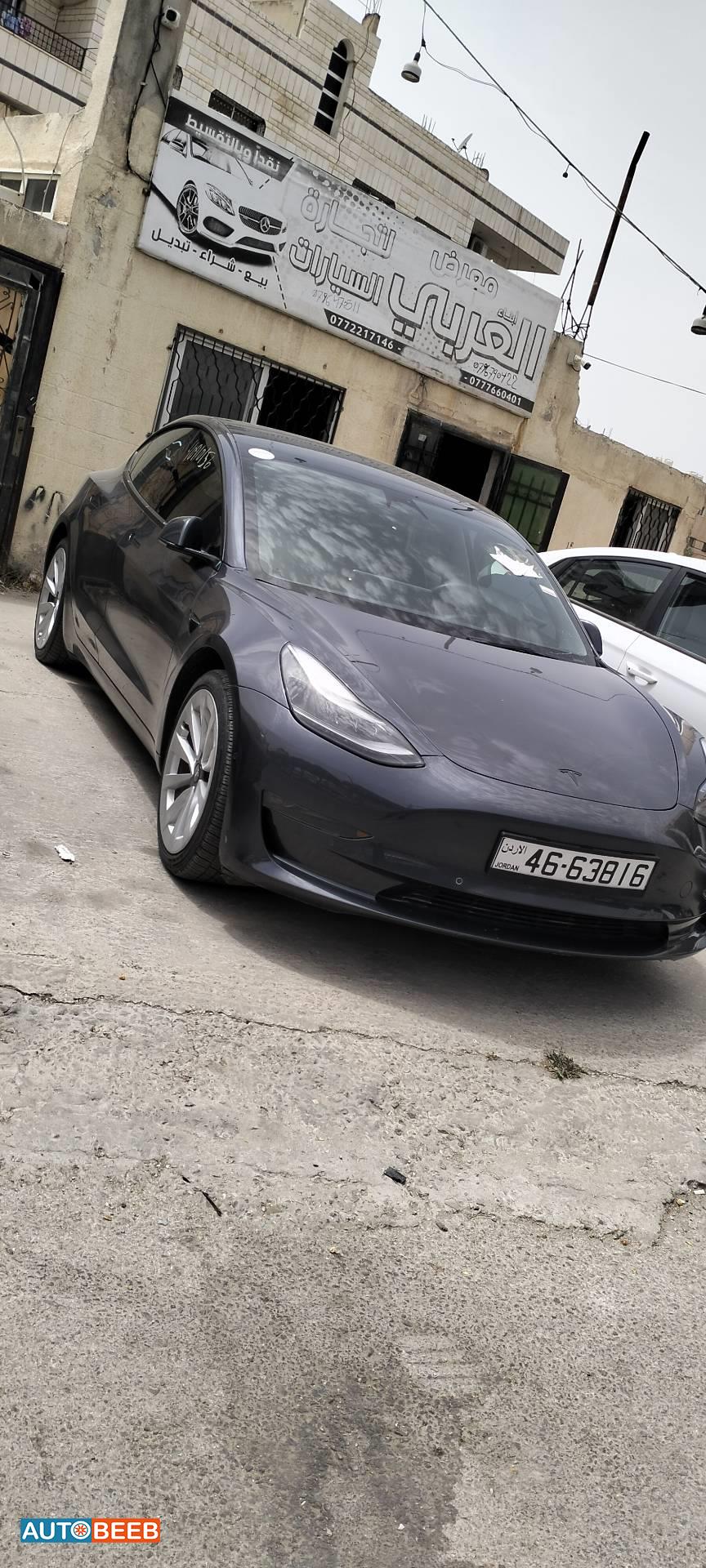 تيسلا 3 2022