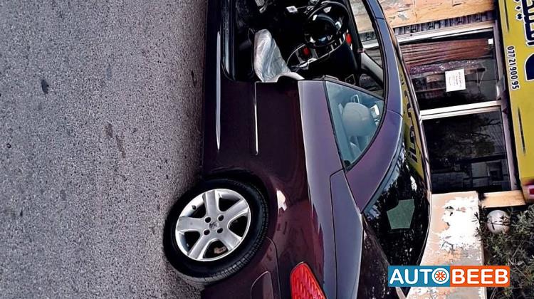 Peugeot 307 2004