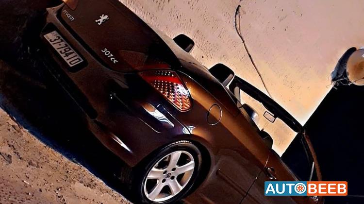 Peugeot 307 2004