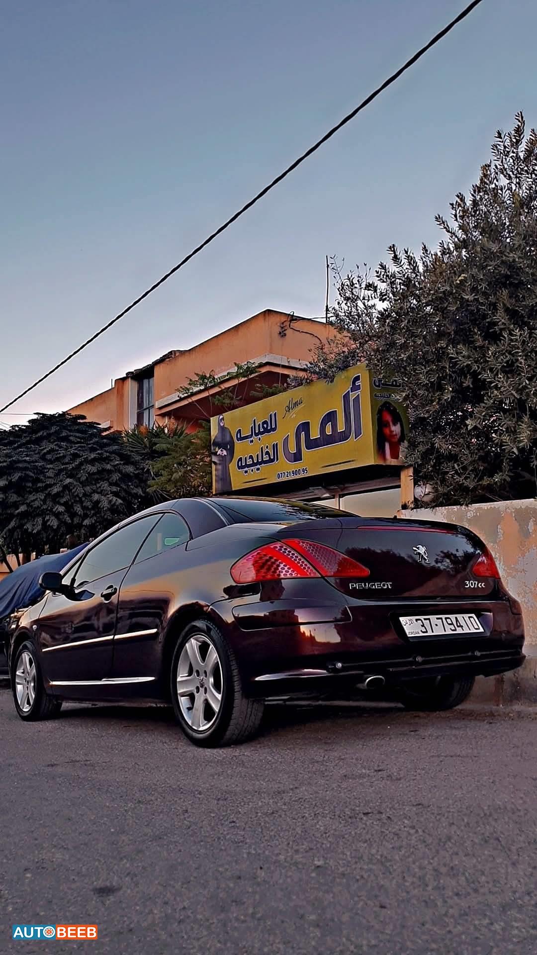 Peugeot 307 2004