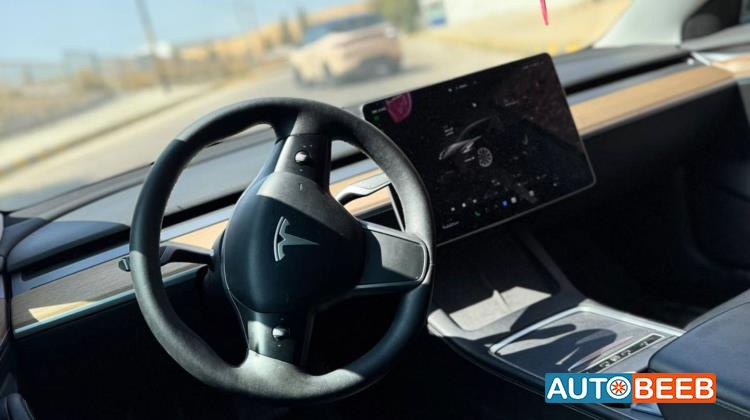 Tesla 3 2022