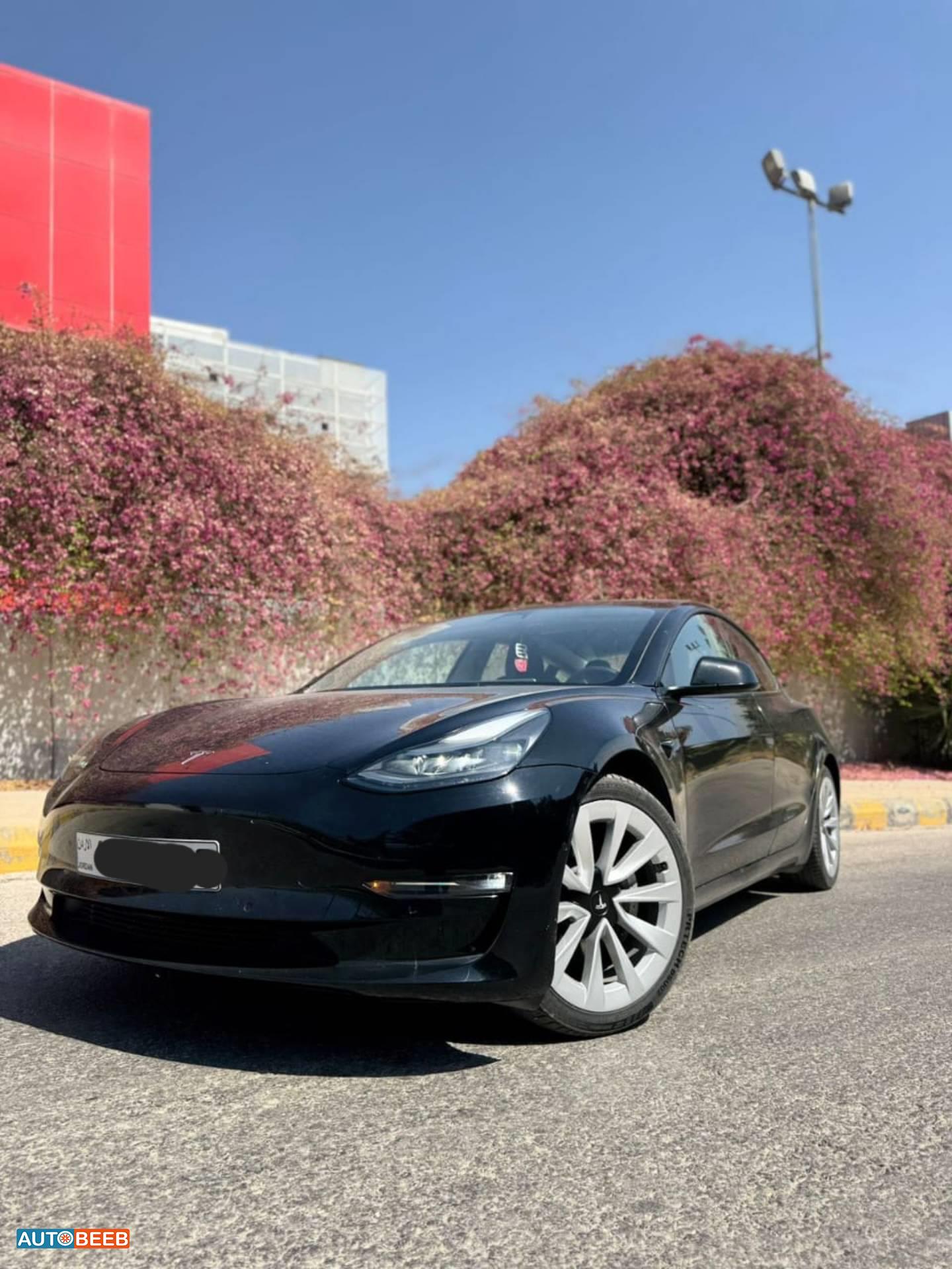 Tesla 3 2022